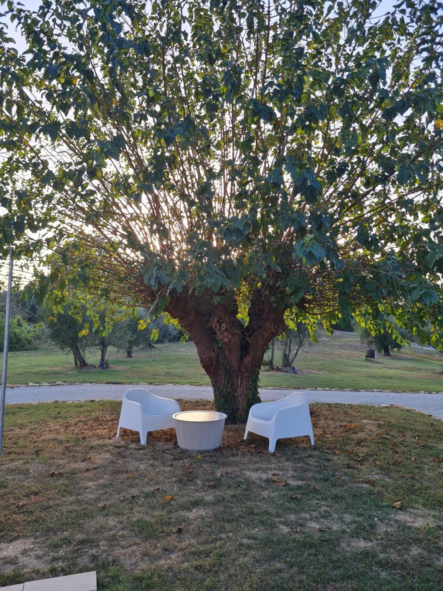 Orto Della Lepre Villa Montemaggiore al Metauro Kültér fotó
